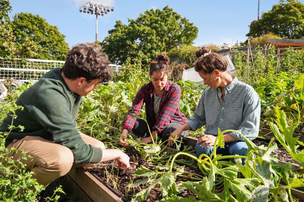 initiation journée agriculture urbaine